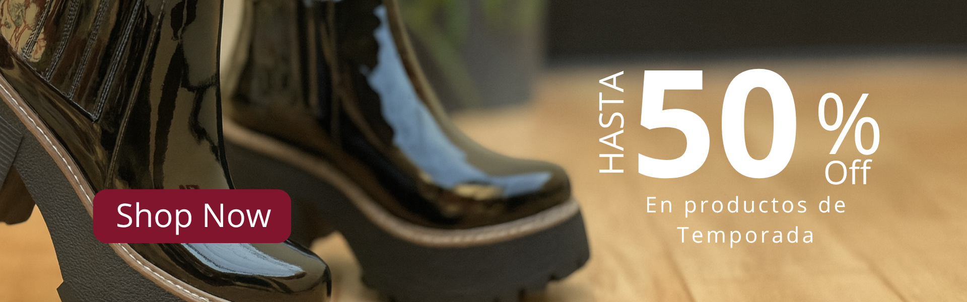 Copia de FLYER ZEPHYRA (2)